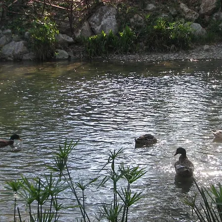 Adrasan River Konukevi Kumluca